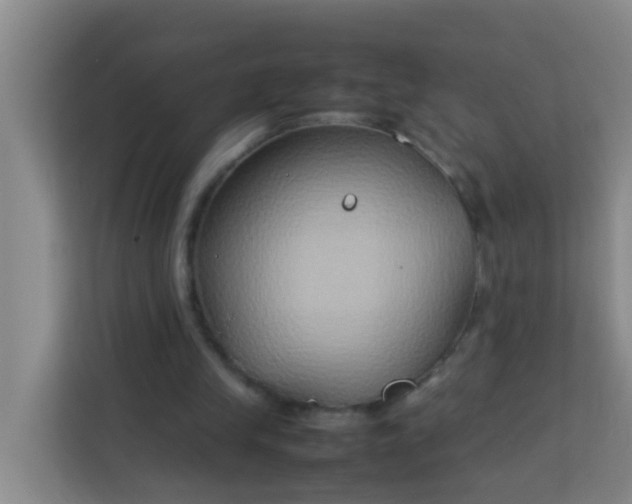 X0000113930245200910091608