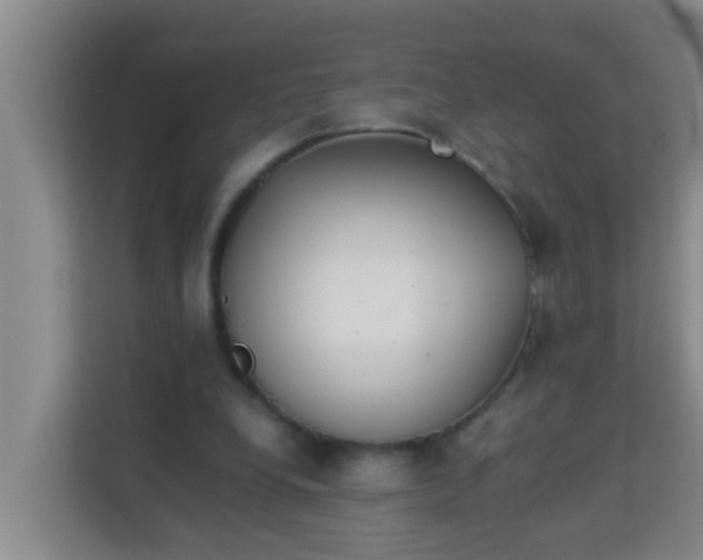 X0000113930248200910091608