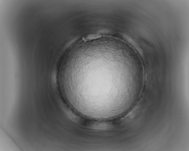 X0000113930249200910091608