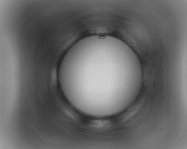 X0000113930251200910091608