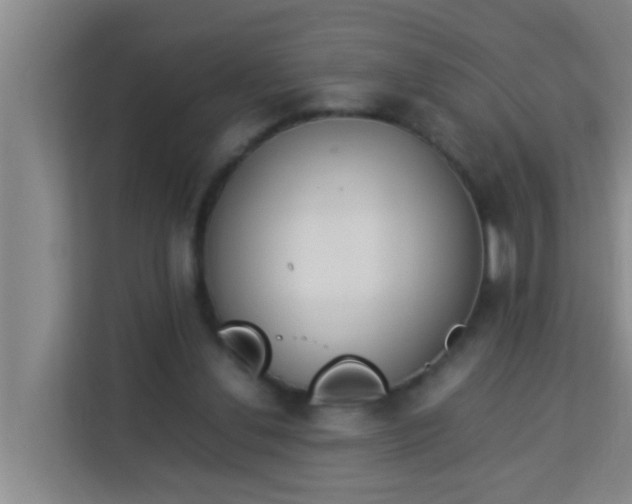 X0000113930252200910091608