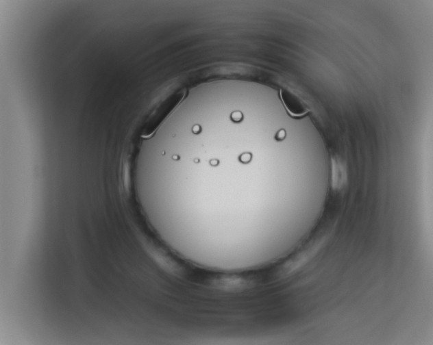 X0000113930253200910091608