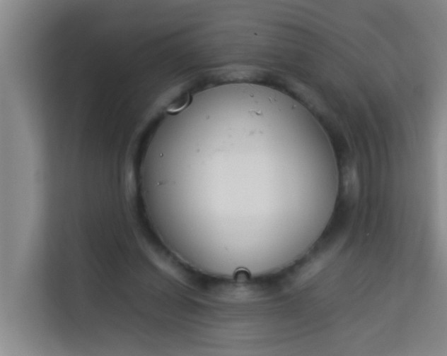 X0000113930254200910091608