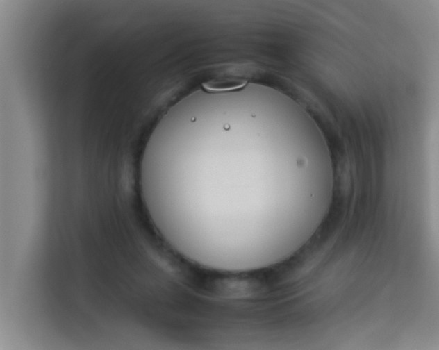 X0000113930255200910091608