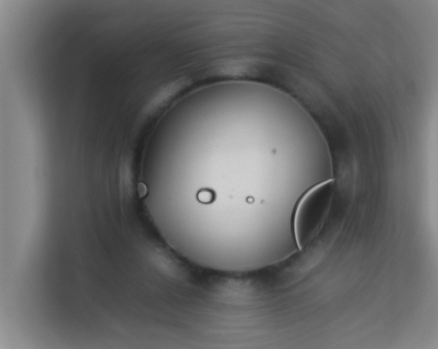 X0000113930256200910091608