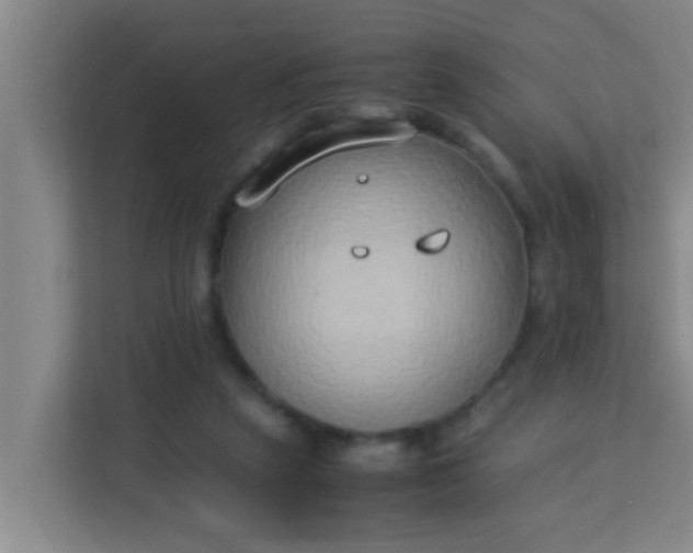 X0000113930257200910091608