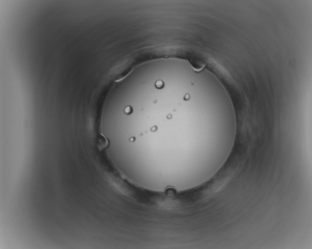 X0000113930258200910091608