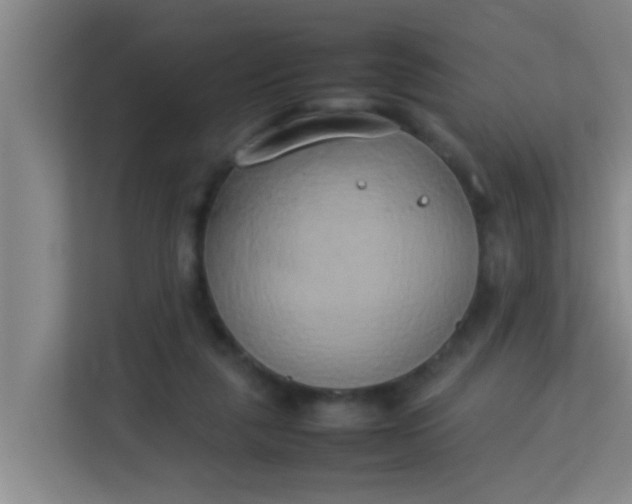 X0000113930259200910091608