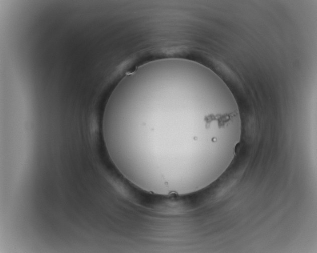 X0000113930260200910091608