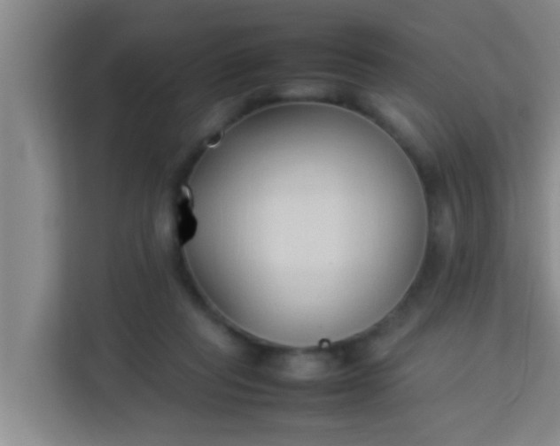 X0000113930261200910091608