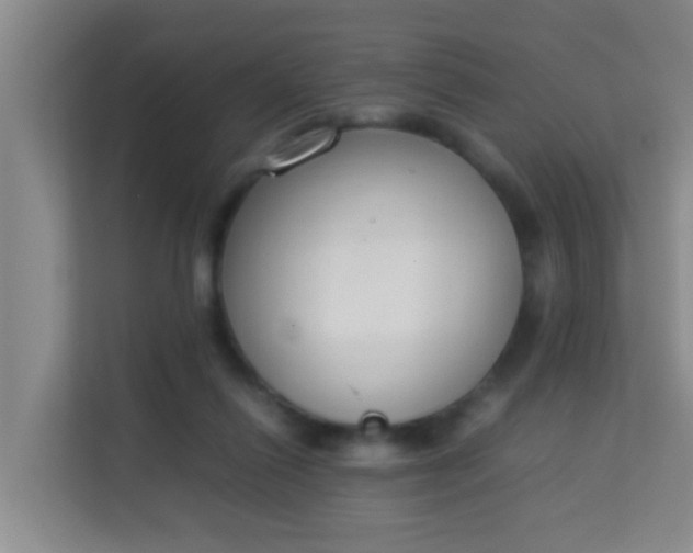 X0000113930262200910091608