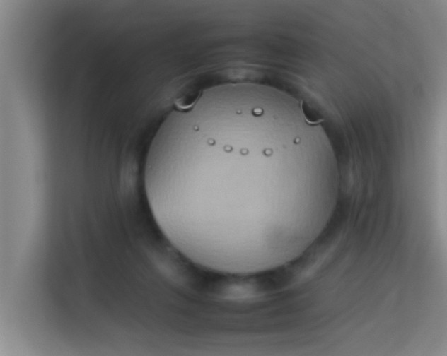 X0000113930263200910091608