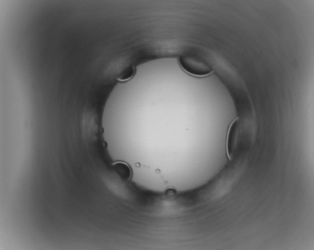 X0000113930264200910091608