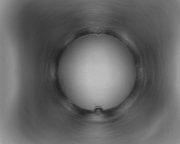 X0000113930266200910091608