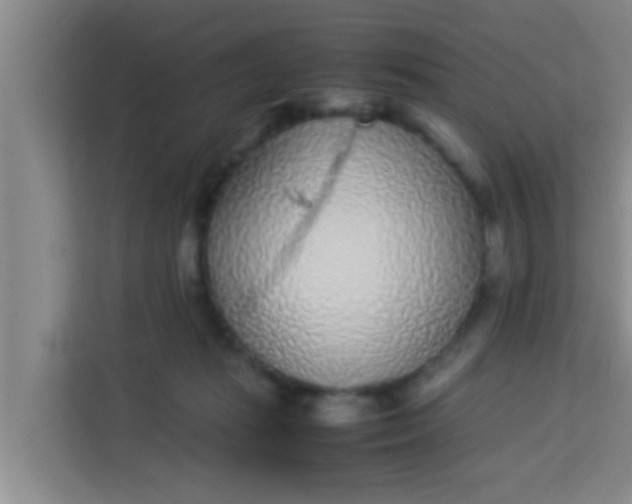 X0000113930269200910091608