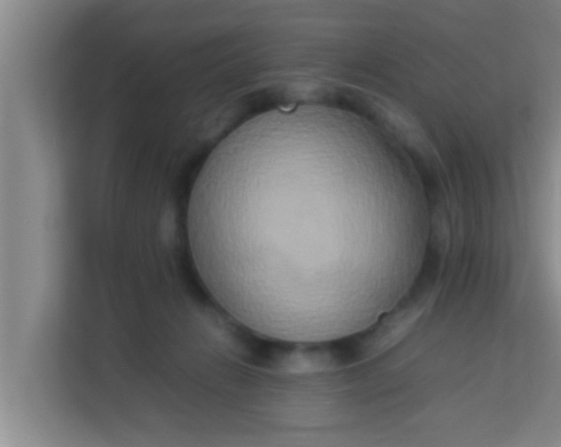 X0000113930270200910091608