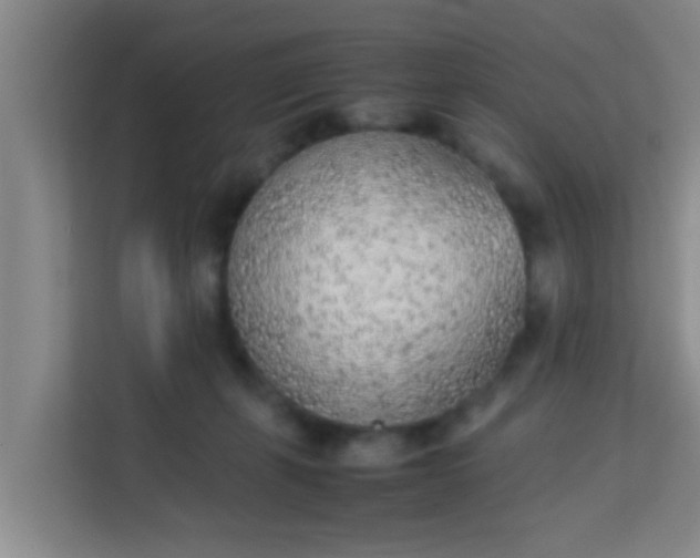 X0000113930271200910091608