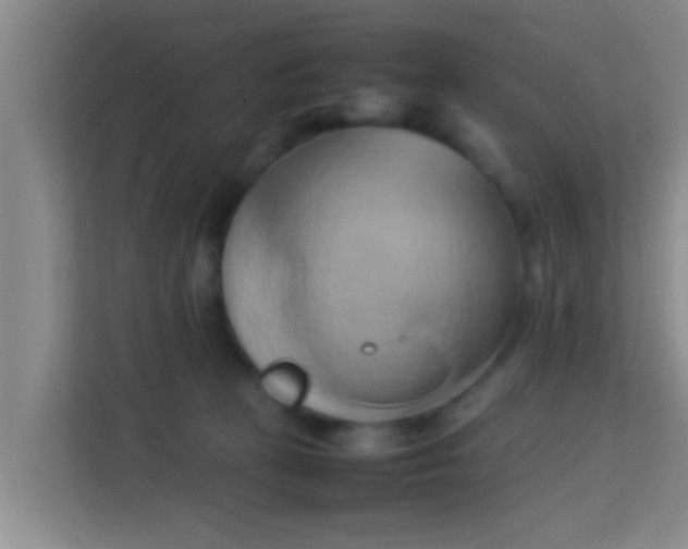 X0000113930273200910091608