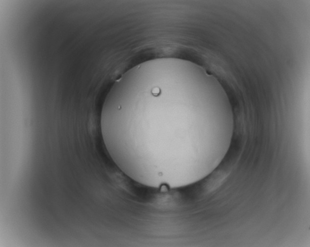 X0000113930274200910091608