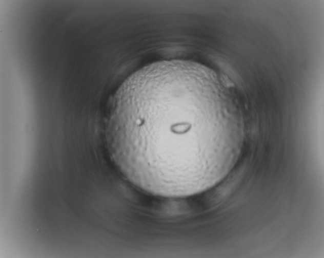 X0000113930277200910091608