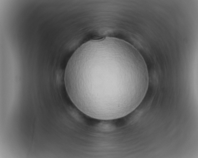 X0000113930280200910091609