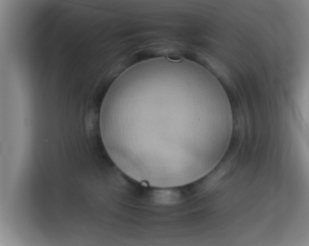 X0000113930281200910091609