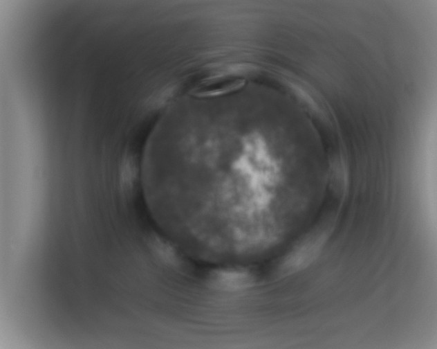 X0000113930284200910091609