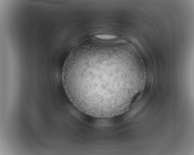 X0000113930285200910091609