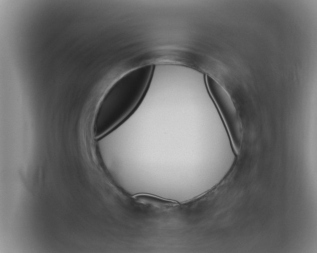 X0000113930289200910091608