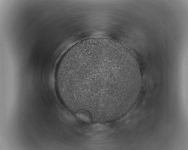 X0000113930290200910091608