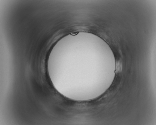 X0000113930291200910091608