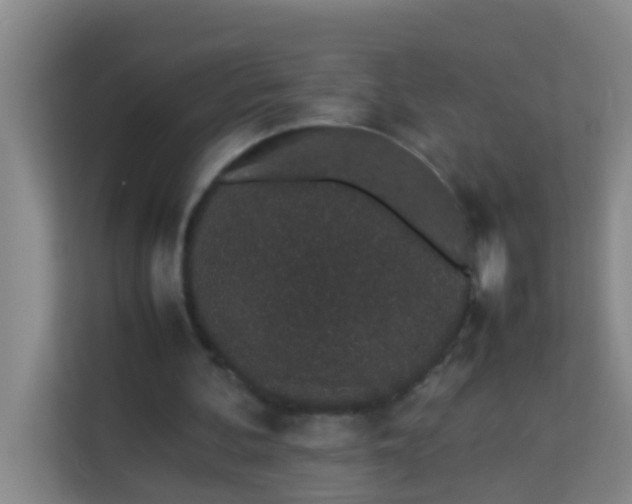 X0000113930292200910091608