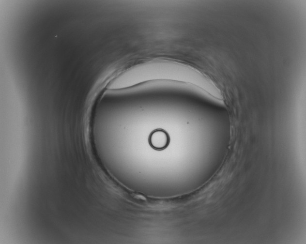 X0000113930293200910091608