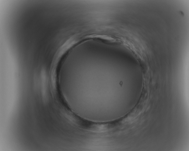 X0000113930295200910091608