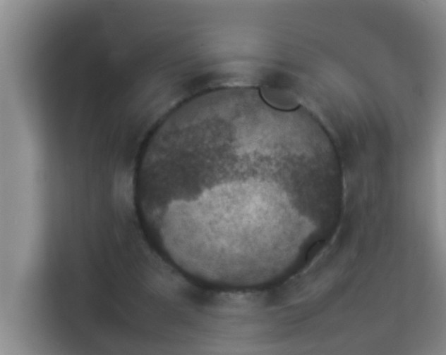 X0000113930297200910091608