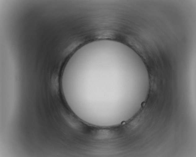 X0000113930298200910091608