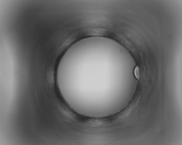 X0000113930299200910091608