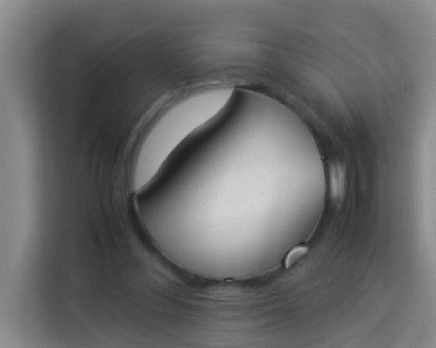 X0000113930300200910091608