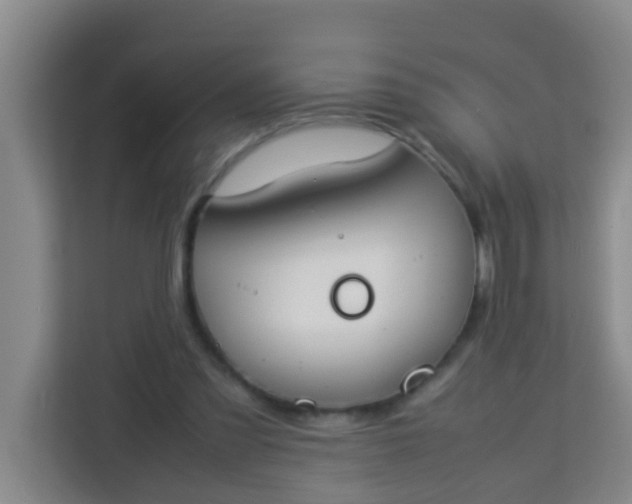 X0000113930301200910091608