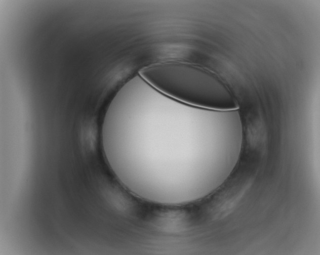 X0000113930304200910091608