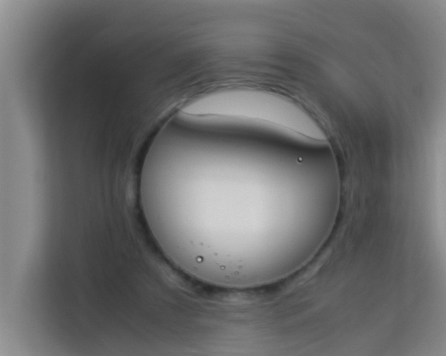 X0000113930305200910091608