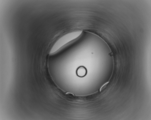 X0000113930308200910091608