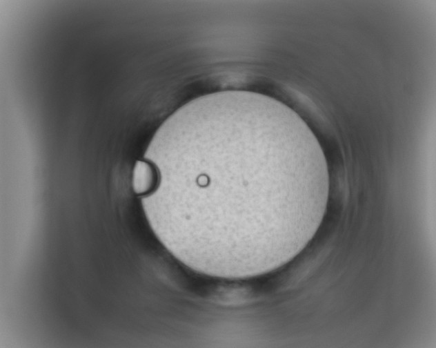 X0000113930311200910091608