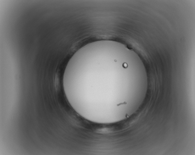 X0000113930312200910091608