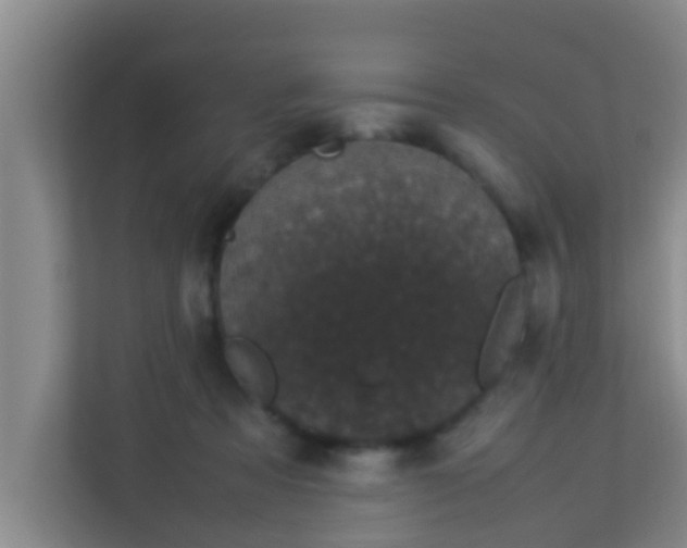 X0000113930313200910091608