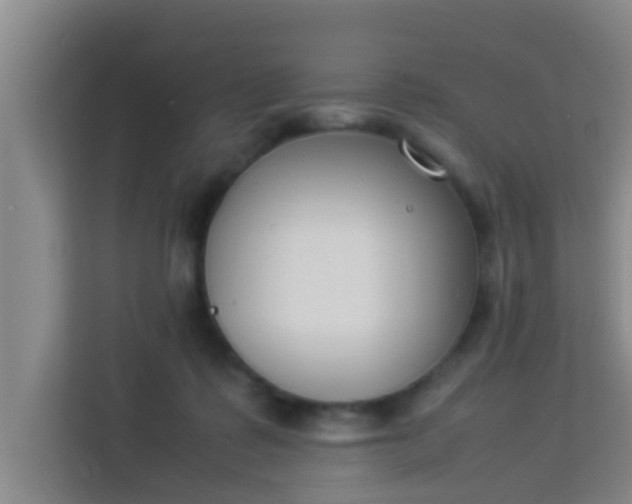 X0000113930315200910091608