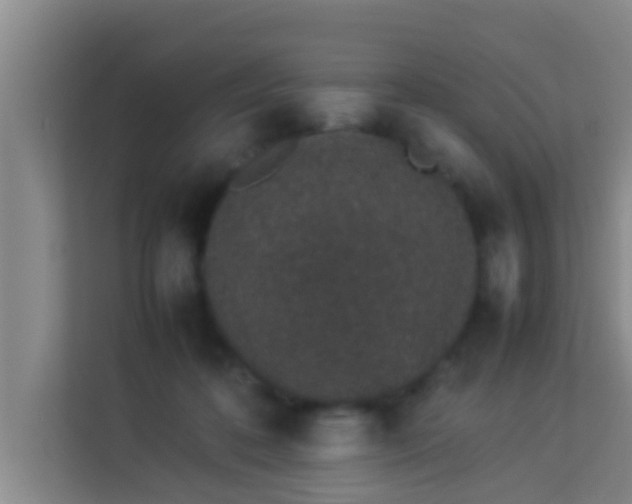 X0000113930316200910091608