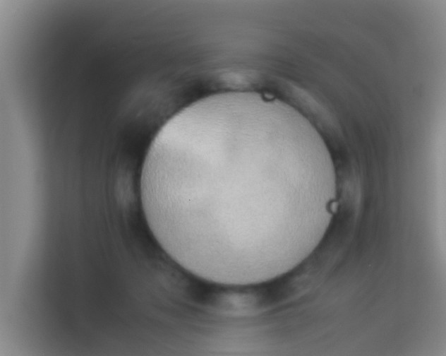 X0000113930317200910091608