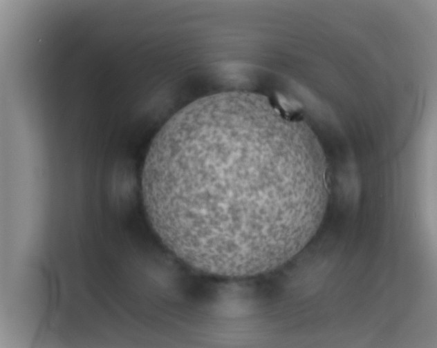 X0000113930320200910091607