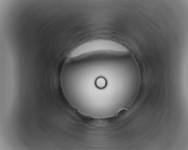 X0000113930328200910091607